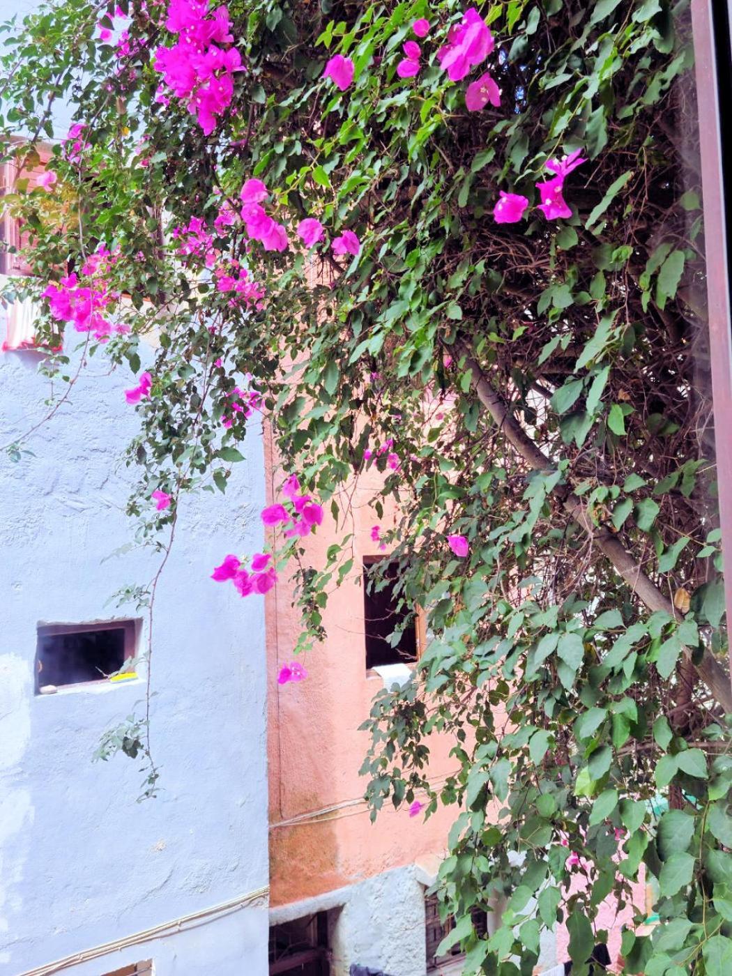 Maison D'Hotes Cite Portugaise El Jadida Bilik gambar